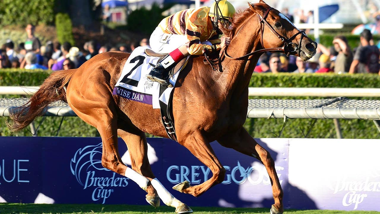 Palace Malice's Whitney flop turns Horse of the Year battle into wide-open race